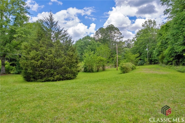 1119 John W Breedlove Rd, Monroe, GA 30656 - view of grassy yard featuring a wooded view