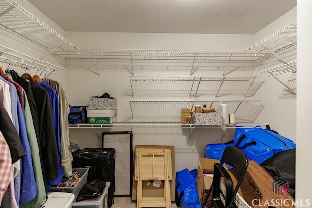 115 Crystal Creek Ct, Hull, GA 30646 - view of walk in closet