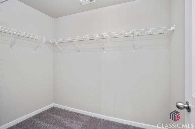 174 Water Oak Way, Crawford, GA 30630 - spacious closet featuring dark carpet