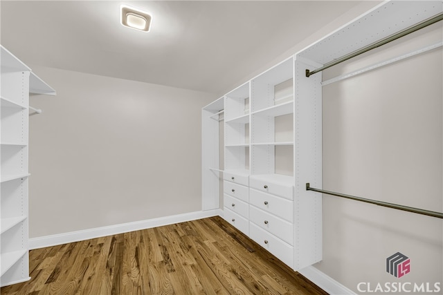 3920 Old Lexington Rd, Athens, GA 30605 - walk in closet with wood finished floors