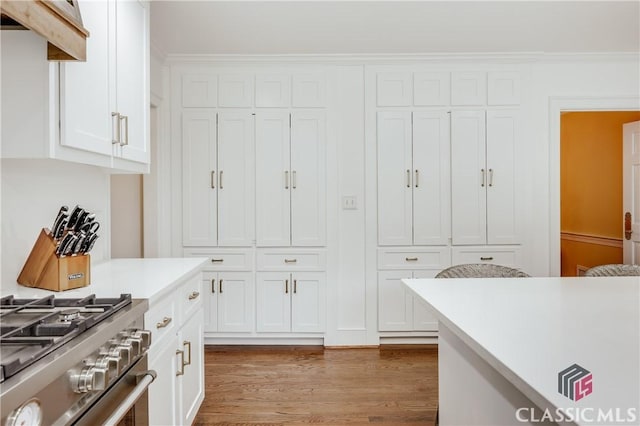 155 Wexford Pl, Athens, GA 30609 - kitchen with high end stainless steel range oven, white cabinets, light countertops, light wood-type flooring, and crown molding