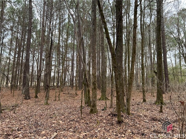 LotD Salem Road, Watkinsville, GA 30677