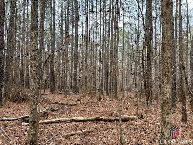 LotD Salem Road, Watkinsville, GA 30677