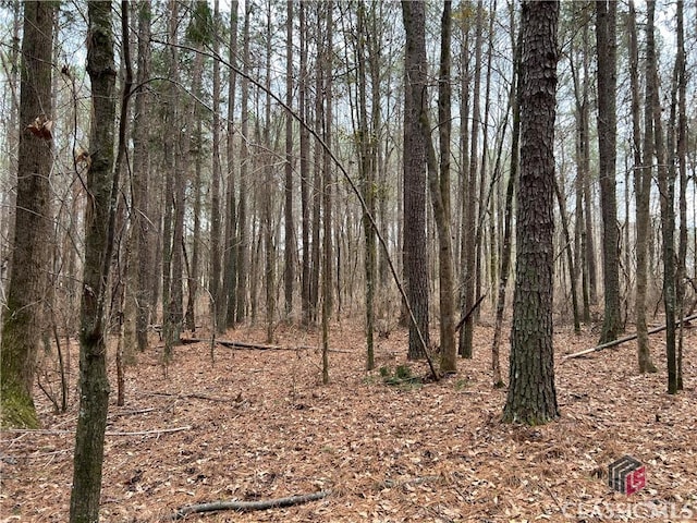 LotD Salem Road, Watkinsville, GA 30677