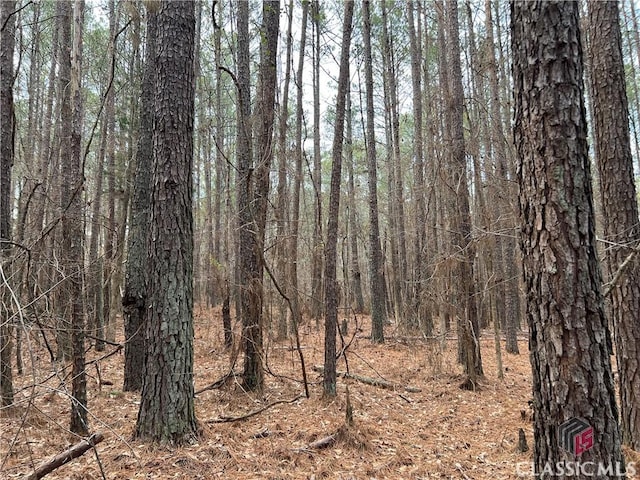 LotD Salem Road, Watkinsville, GA 30677