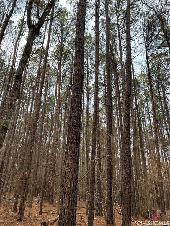LotD Salem Road, Watkinsville, GA 30677