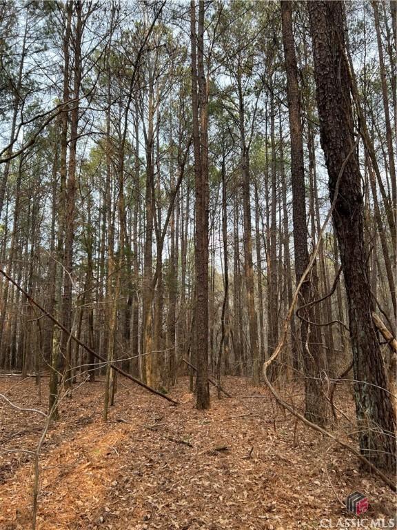 LotD Salem Road, Watkinsville, GA 30677
