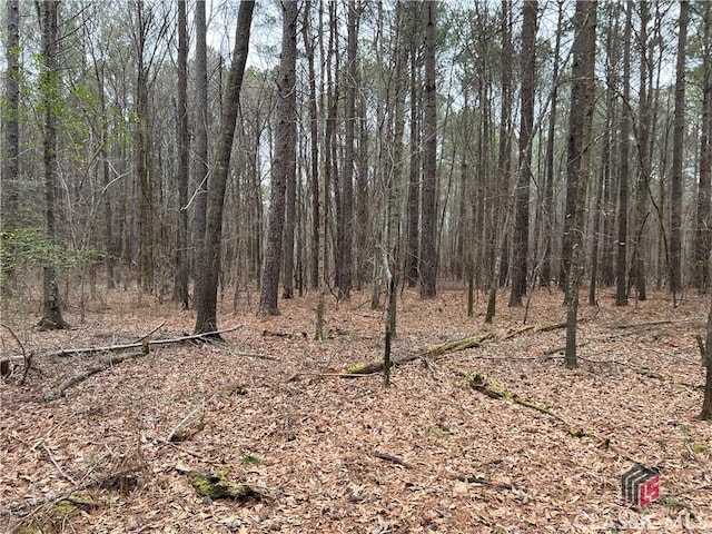LotD Salem Road, Watkinsville, GA 30677