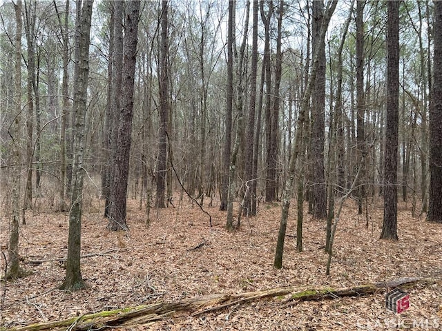 LotD Salem Road, Watkinsville, GA 30677