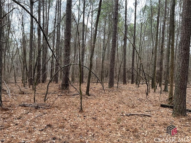 LotD Salem Road, Watkinsville, GA 30677