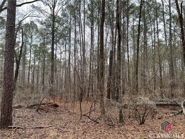 LotD Salem Road, Watkinsville, GA 30677