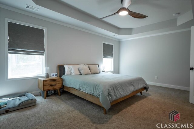 35 Westwood St, Danielsville, GA 30633 - carpeted bedroom with a raised ceiling, multiple windows, baseboards, and crown molding