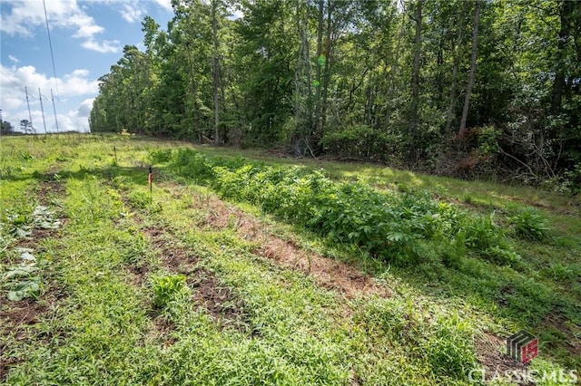 35 Westwood St, Danielsville, GA 30633 - view of nature