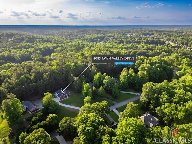 4085 Fawn Vly, Loganville, GA 30052 - drone / aerial view of a forest