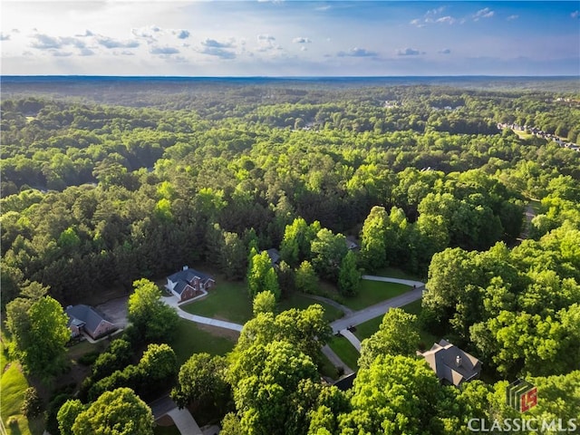 4085 Fawn Vly, Loganville, GA 30052 - aerial view of a heavily wooded area