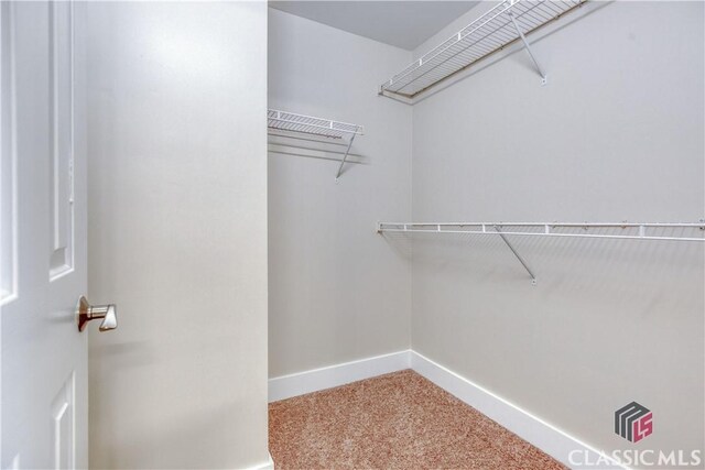 4085 Fawn Vly, Loganville, GA 30052 - spacious closet featuring carpet floors