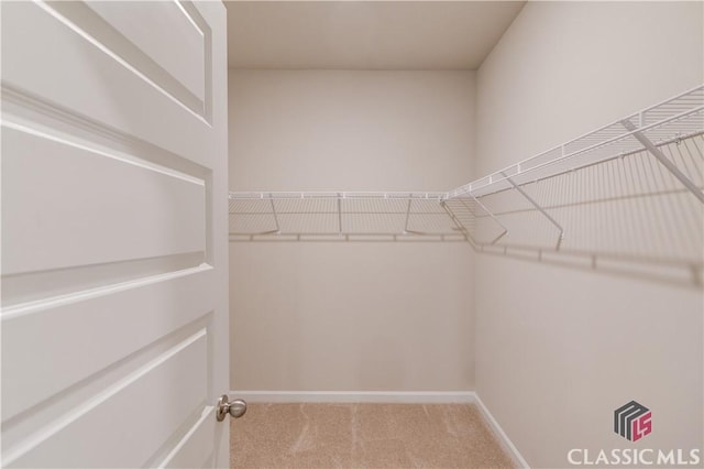 334 Pepin Ct, Hoschton, GA 30548 - spacious closet featuring carpet