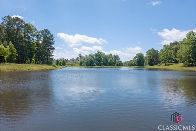 334 Pepin Ct, Hoschton, GA 30548 - water view