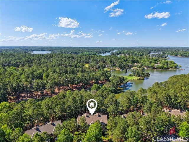 1050 Tailwater Unit A, Greensboro, GA 30642 - bird's eye view of a forest and a nearby body of water