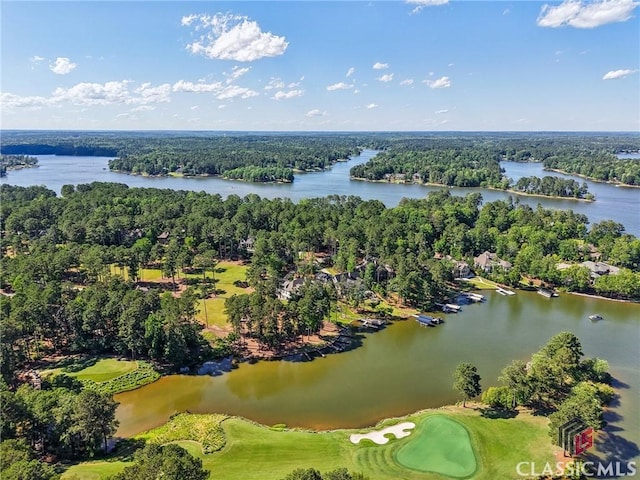 1050 Tailwater Unit A, Greensboro, GA 30642 - aerial view of a nearby body of water and a golf club