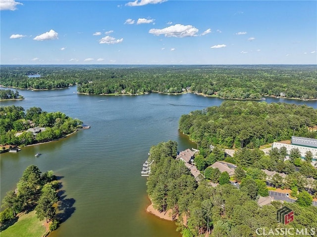 1050 Tailwater Unit A, Greensboro, GA 30642 - aerial view of a forest and a large body of water