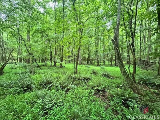 0 Cedar Ln, Danielsville, GA 30633