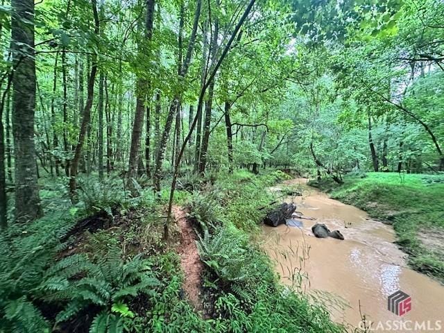 0 Cedar Ln, Danielsville, GA 30633
