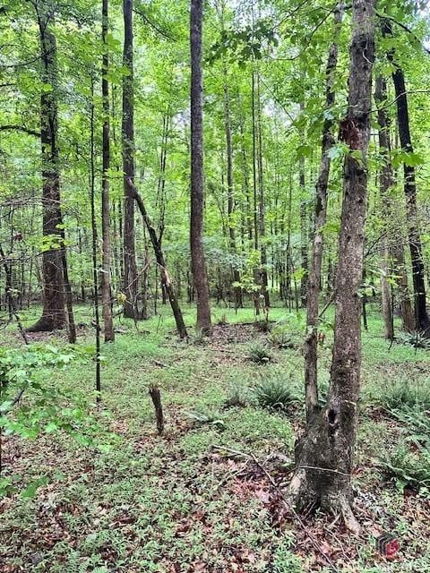 0 Cedar Ln, Danielsville, GA 30633