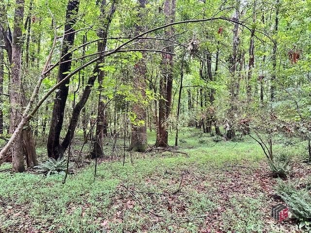 0 Cedar Ln, Danielsville, GA 30633