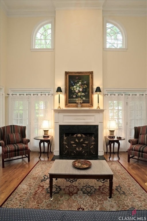 416 Mcdaniel St, Monroe, GA 30655 - living area with ornamental molding, wood finished floors, a fireplace, plenty of natural light, and a towering ceiling