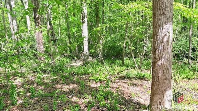 210 Big Oak Cir, Athens, GA 30605 - view of undeveloped land