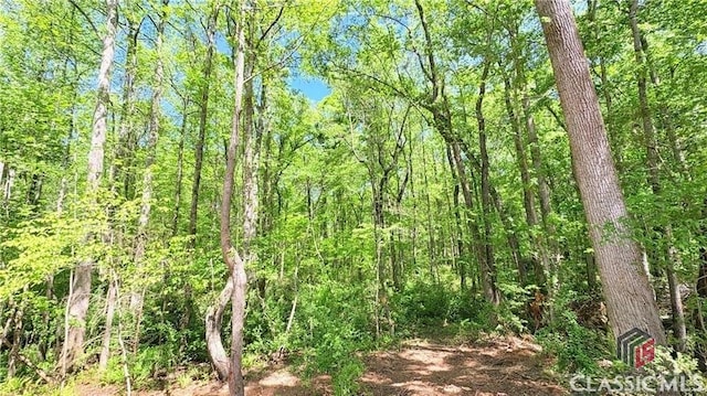 210 Big Oak Cir, Athens, GA 30605 - view of tree filled area