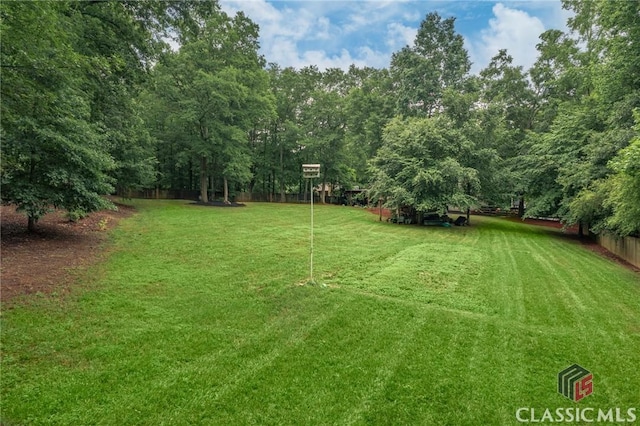 4080 Derby, Cumming, GA 30040 - view of yard