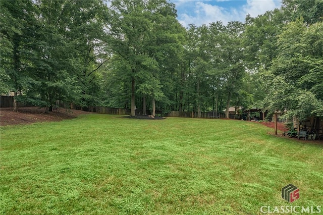 4080 Derby, Cumming, GA 30040 - view of yard