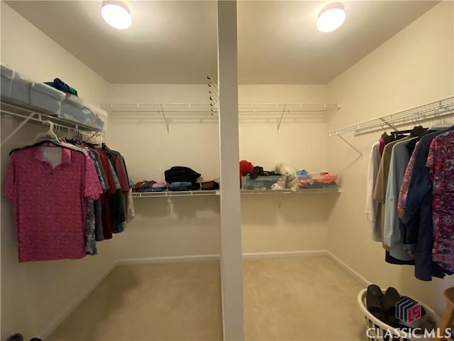 1100 Roberta Dr, Bishop, GA 30621 - spacious closet with carpet floors