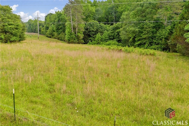 570 Davis Rd, Jefferson, GA 30549 - view of tree filled area