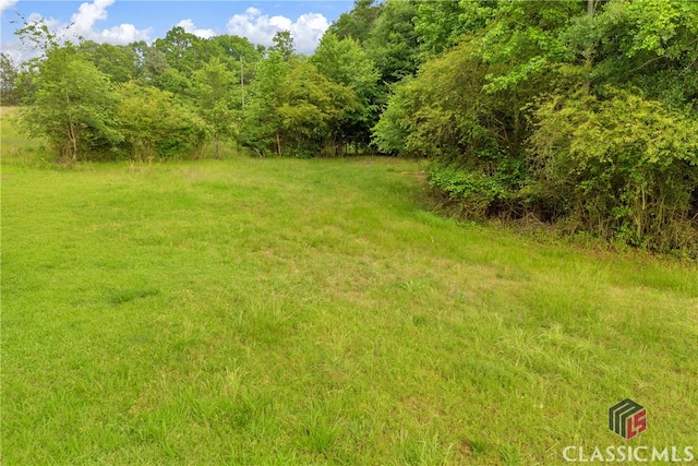 570 Davis Rd, Jefferson, GA 30549 - view of yard
