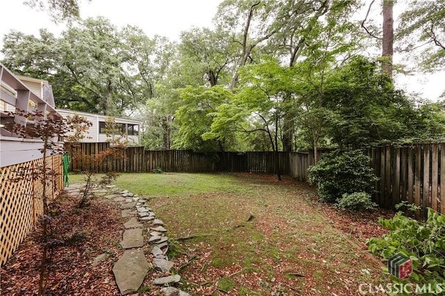 170 Stanton, Athens, GA 30606 - view of yard