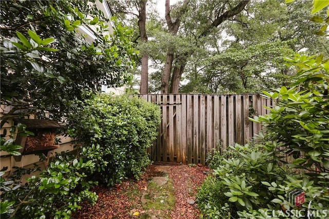 170 Stanton, Athens, GA 30606 - view of yard
