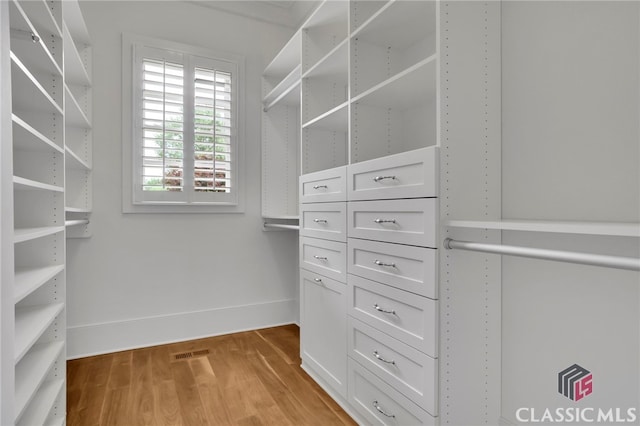710 Cox Rd, Milton, GA 30075 - walk in closet with light wood-type flooring