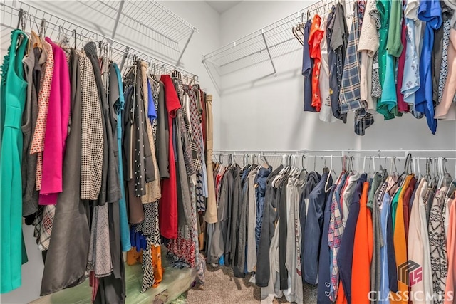 1810 Willow Creek Dr, Watkinsville, GA 30677 - spacious closet with carpet
