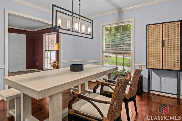 161 Pinecrest Ter, Athens, GA 30606 - dining room featuring dark wood-type flooring, plenty of natural light, ornamental molding, and a chandelier