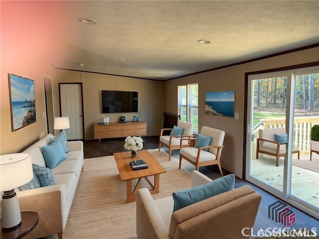 832 Stone Stewart Rd, Hull, GA 30646 - living room with ornamental molding, recessed lighting, and light wood-type flooring