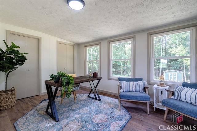 1210 Burr Harris Rd, Watkinsville, GA 30677 - home office featuring a textured ceiling, lofted ceiling, and wood finished floors