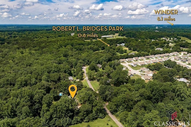 226 Baker St, Statham, GA 30666 - aerial view of a forest