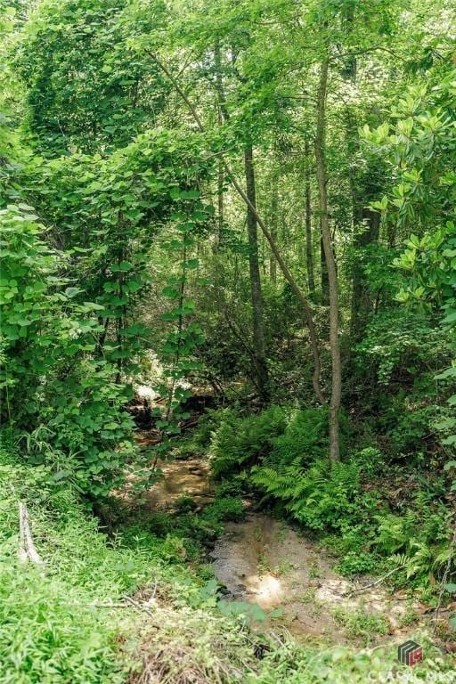 226 Baker St, Statham, GA 30666 - view of undeveloped land