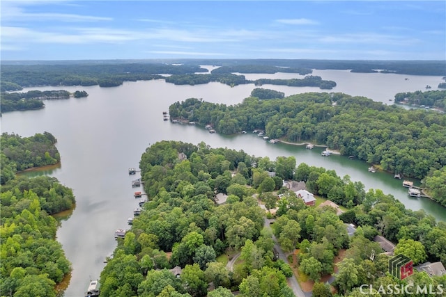 5480 Apache Trl, Gainesville, GA 30506 - bird's eye view of a large body of water