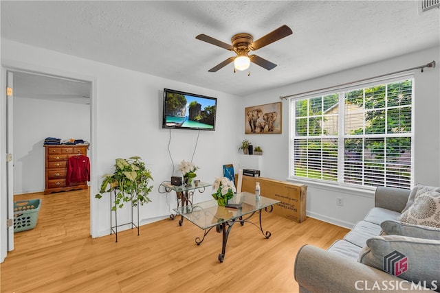 5480 Apache Trl, Gainesville, GA 30506 - living room featuring wood finished floors, ceiling fan, and a textured ceiling
