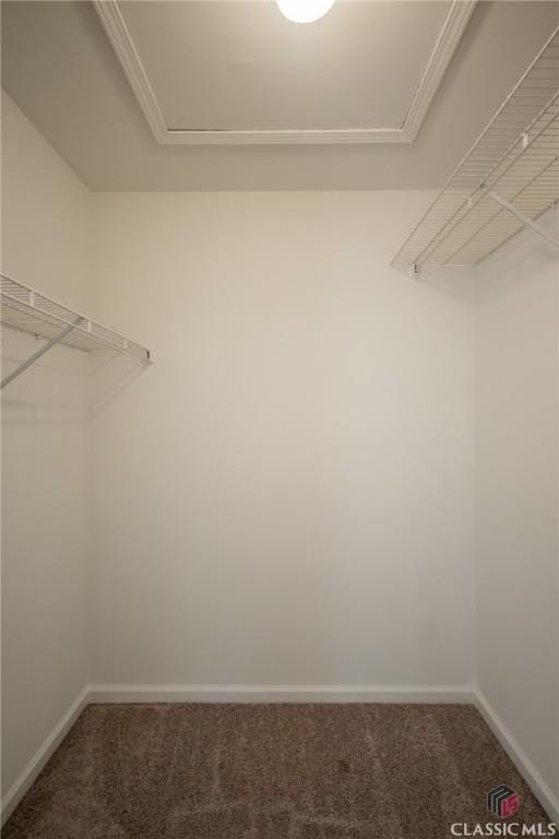 170 Chadds Walk, Athens, GA 30606 - spacious closet featuring carpet and attic access