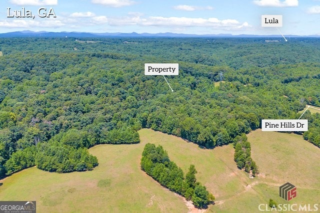 0 Pinehill Ct, Lula, GA 30554